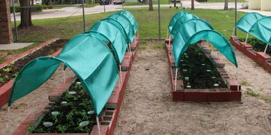 "Stars Complex Urban Garden" by Gabriel Kamener, Sown Together is licensed under CC BY 2.0