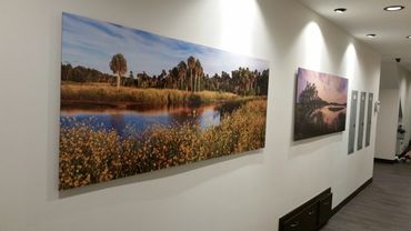 professional picture hanger Tampa Bay FL