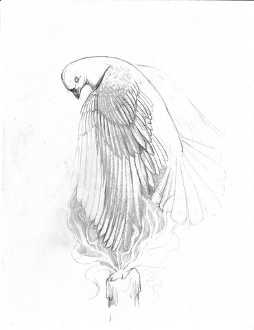 Dove rising from Flame
$10.00 per copy