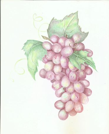 Grapes
$10.00 per copy