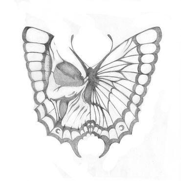 Skull butterfly wing
$10.00 per copy