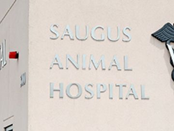 Saugus Animal Hospital is a veterinary hospital that cares for many of our rescues.  They are very professional and capable.  They are such a great resource.