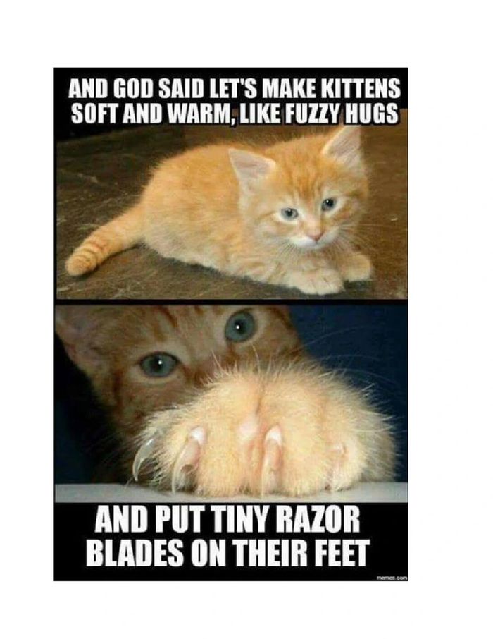 image2243