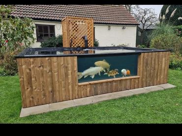 A wooden outdoor fish pond with a clear viewing window showing fish inside.