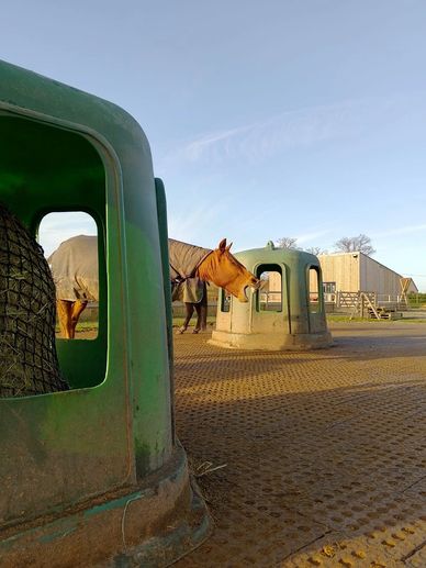 Plaques anti boue dans un écurie active