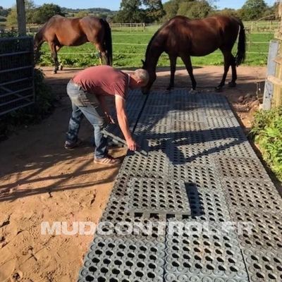 Un homme installe des dalles pour stabiliser le paddock de ses chevaux, visibles en arrière-plan.