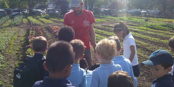 We host educational demonstrations for local schools to educate them on sustainable farming.