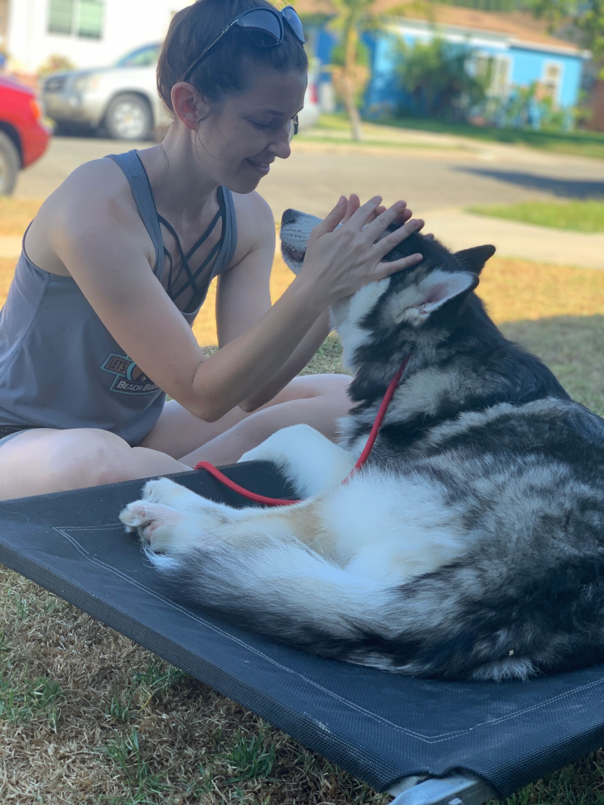 Lisa Darcy dog trainer with husky laying down