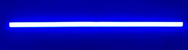 12 Volt Hybrid Blue and White LED Interior Light 