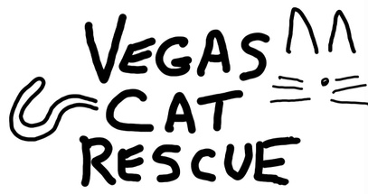 Vegas Cat Rescue