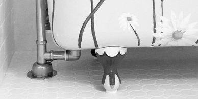 The Townhouse in Broad Ripple at airbnb is your home away from home during your visit in Indy