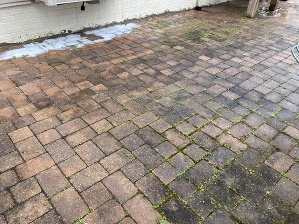 BEFORE PAVER CLEANING