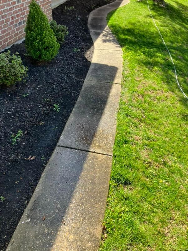 BEFORE SIDEWALK SURFACE CLEANING