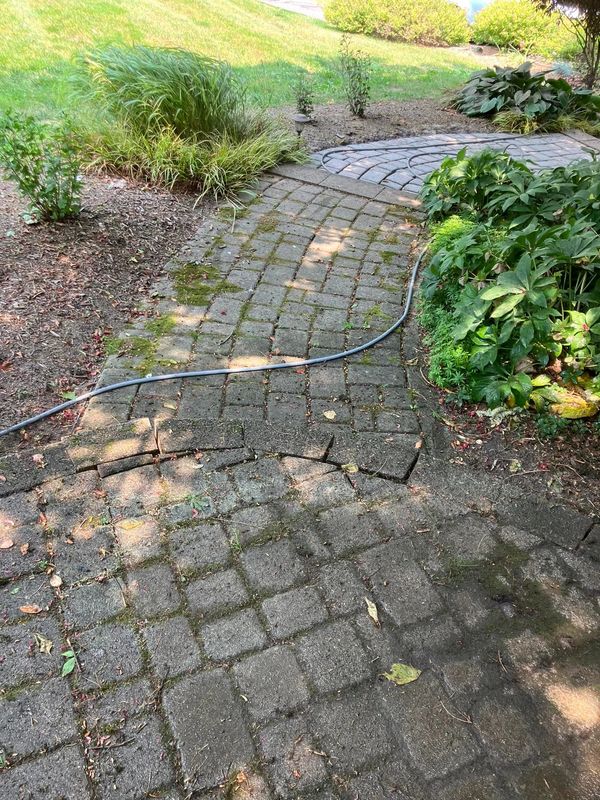 PAVER CLEANING