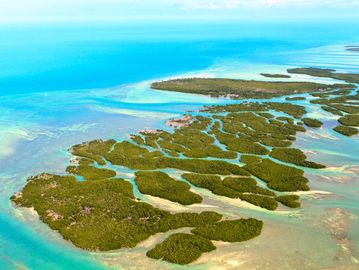 key west eco tours