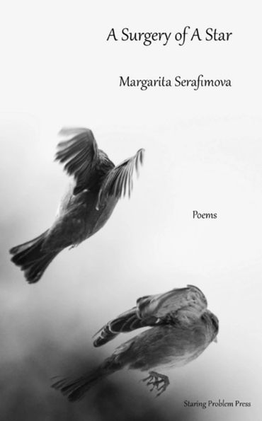Book cover "A Surgery of A Star" by Margarita Serafimova, featuring two swallows.