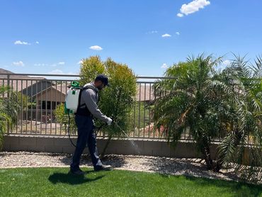 Pest Control - Scottsdale, AZ