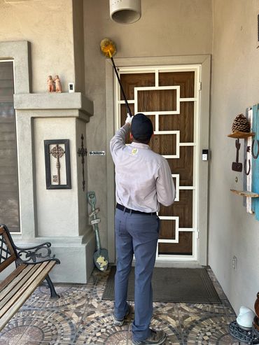 Spider web dusting - Scottsdale, AZ