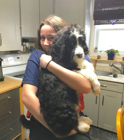 Teen holding Bernedoodle puppy