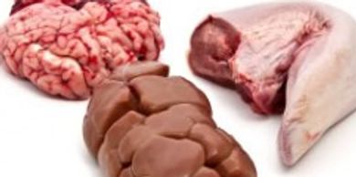 Raw organs on a table