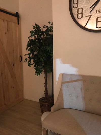 Cozy corner with beige upholstered chair, green plant, and wall clock.