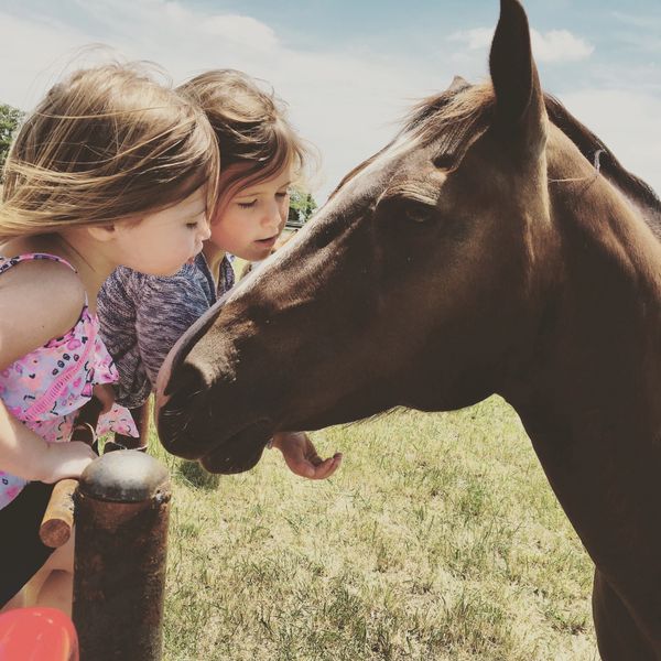 Pasture board, columbia pasture board, horse boarding, riding trails
