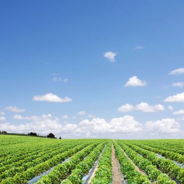 Penmax® Enhancing Soil Health