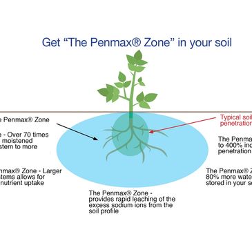 Penmax® Improving Root Growth