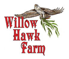 Willow Hawk Farm