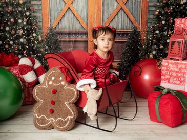 Holiday Mini Portraits