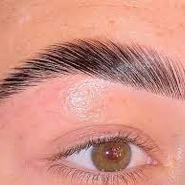 Brow lamination course