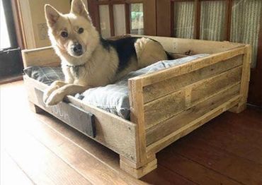 Pallet Pet Bed