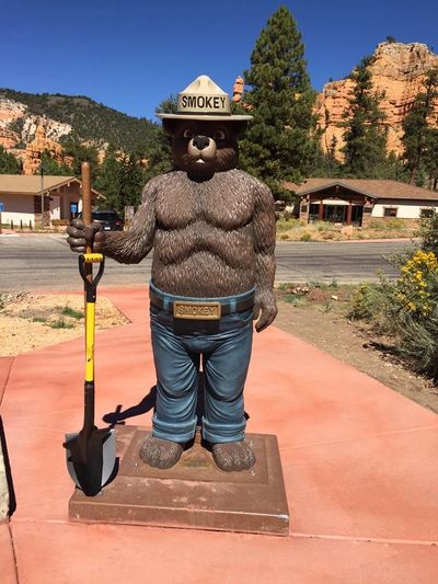 Smokey Loves His Spear Head Spade