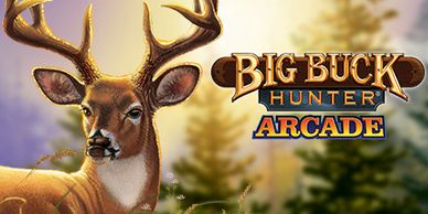 Big Buck Hunter Video Arcade Game