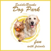 SaddleBrooke Dog Park