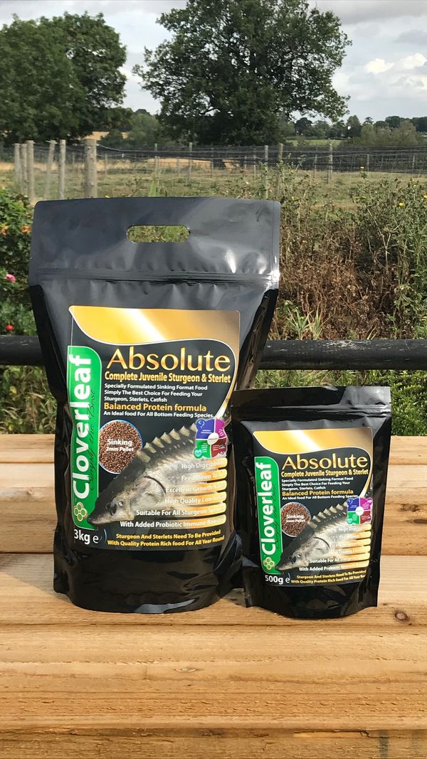 Cloverleaf Absolute Complete Juvenile Sturgeon and Sterlet 2mm Sinking Pellets 500g and 3kg Bags
