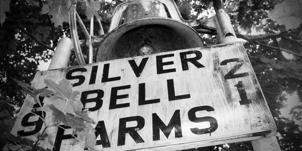 The silver bell before being restored.