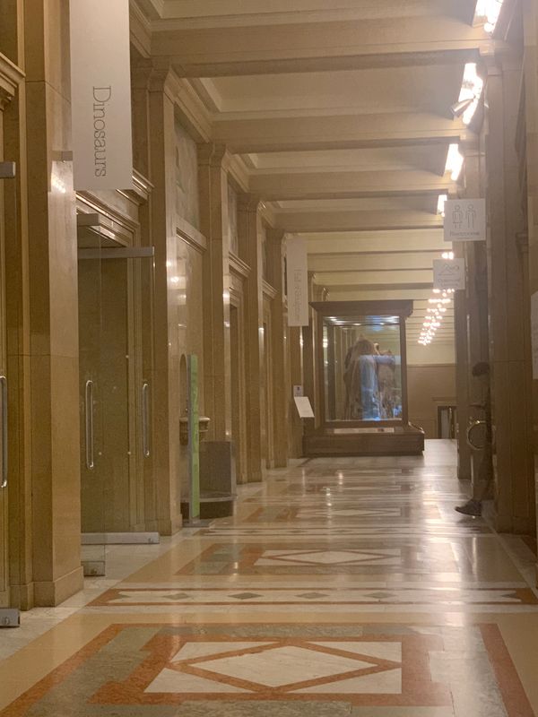 Cecile Shell Man Consulting