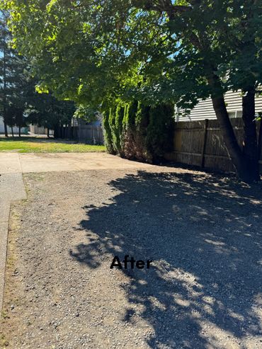 after clean space property management