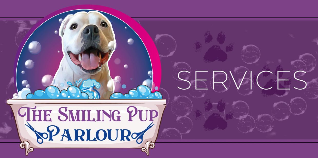 Logo featuring a dog in a bath and the text "services"