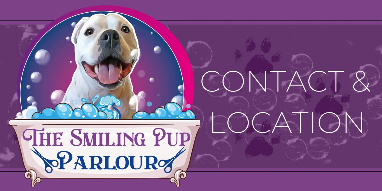 Logo featuring a dog in a bath and the text "contact & location"