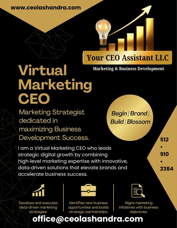 Virtual Marketing CEO providing strategic digital growth and business development.