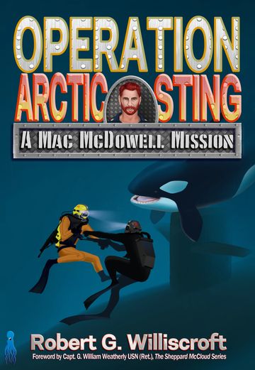Operation Arctic Sting cover