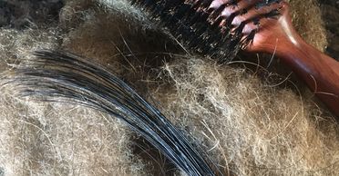 Brosse à cheveux de poils de sanglier, amoncellement de laine et de poils de crinière.