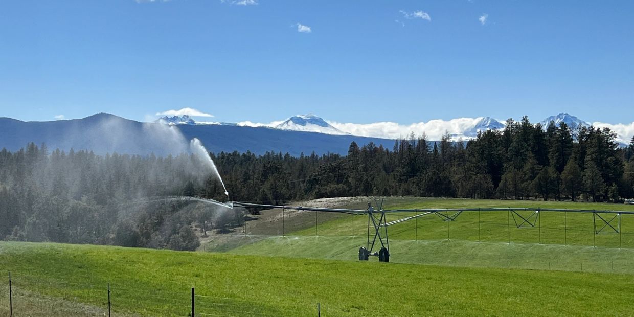 Irrigation system watering a green field.