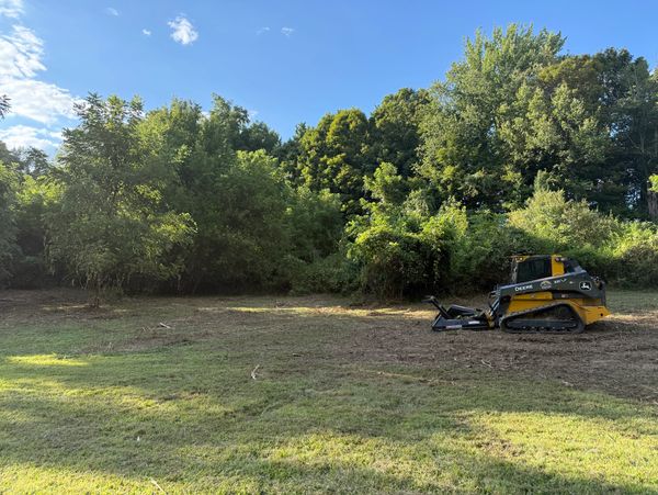 A yellow John Deere construction vehicle clearing land near a forest edge.