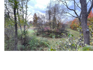 A serene autumn landscape with trees, bushes, and a grassy path under a cloudy sky.