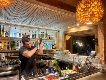 Bartender shaking a cocktail at a cozy bar.