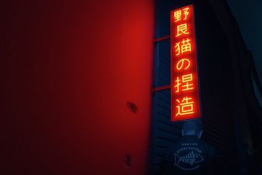 Person under neon sign.