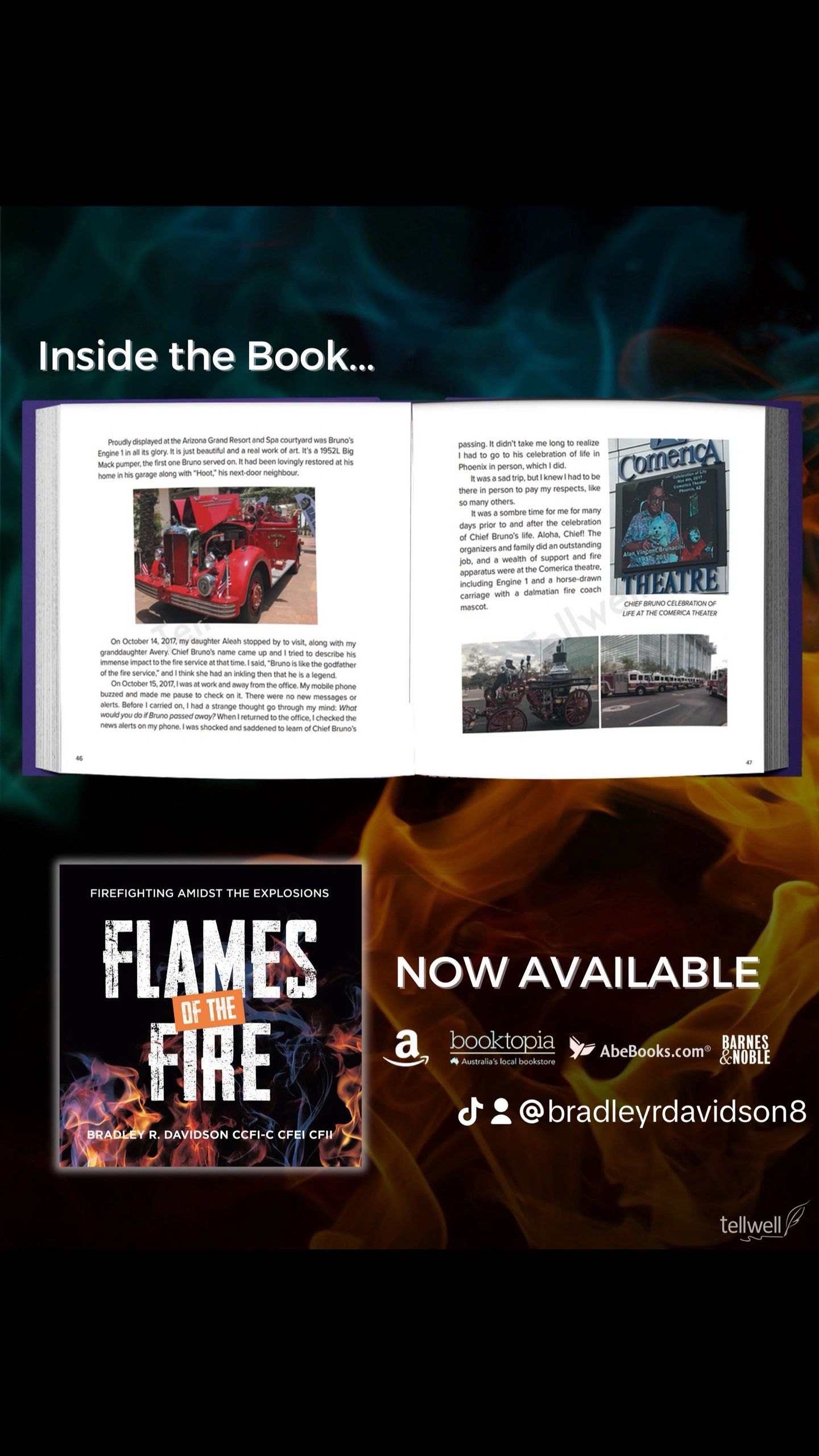 Inside the book Flames of the Fire by author Bradley R Davidson